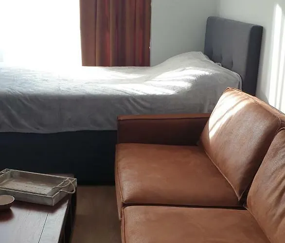 студио тони Варна