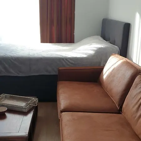 студио тони Varna